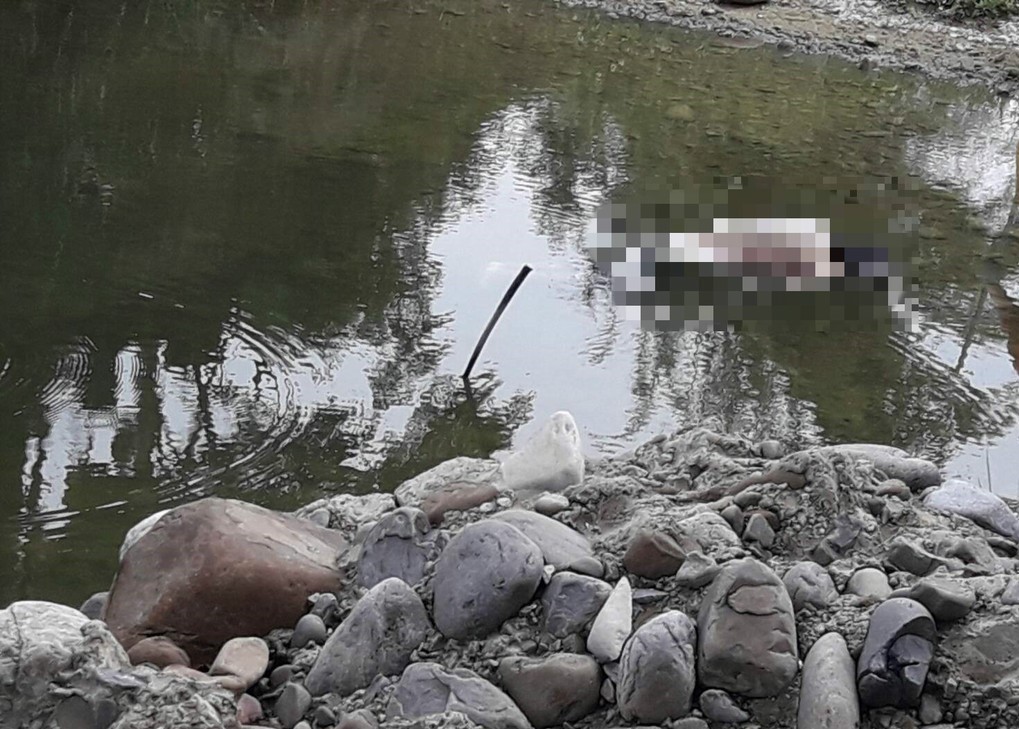 Vụ án giết người kinh hoàng gây chấn động Hoa Liên: Mẹ dụ bạn đến suối sát hại rồi giả vờ khóc thương, con trai 7 năm sau siết cổ cô giáo - Rùng mình nghiệp chướng lặp lại!